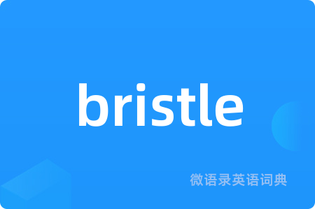 bristle